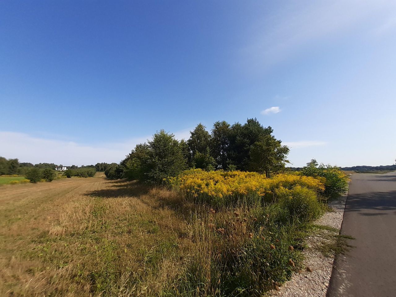 Działka rolna Kiełmina. Zdjęcie 3