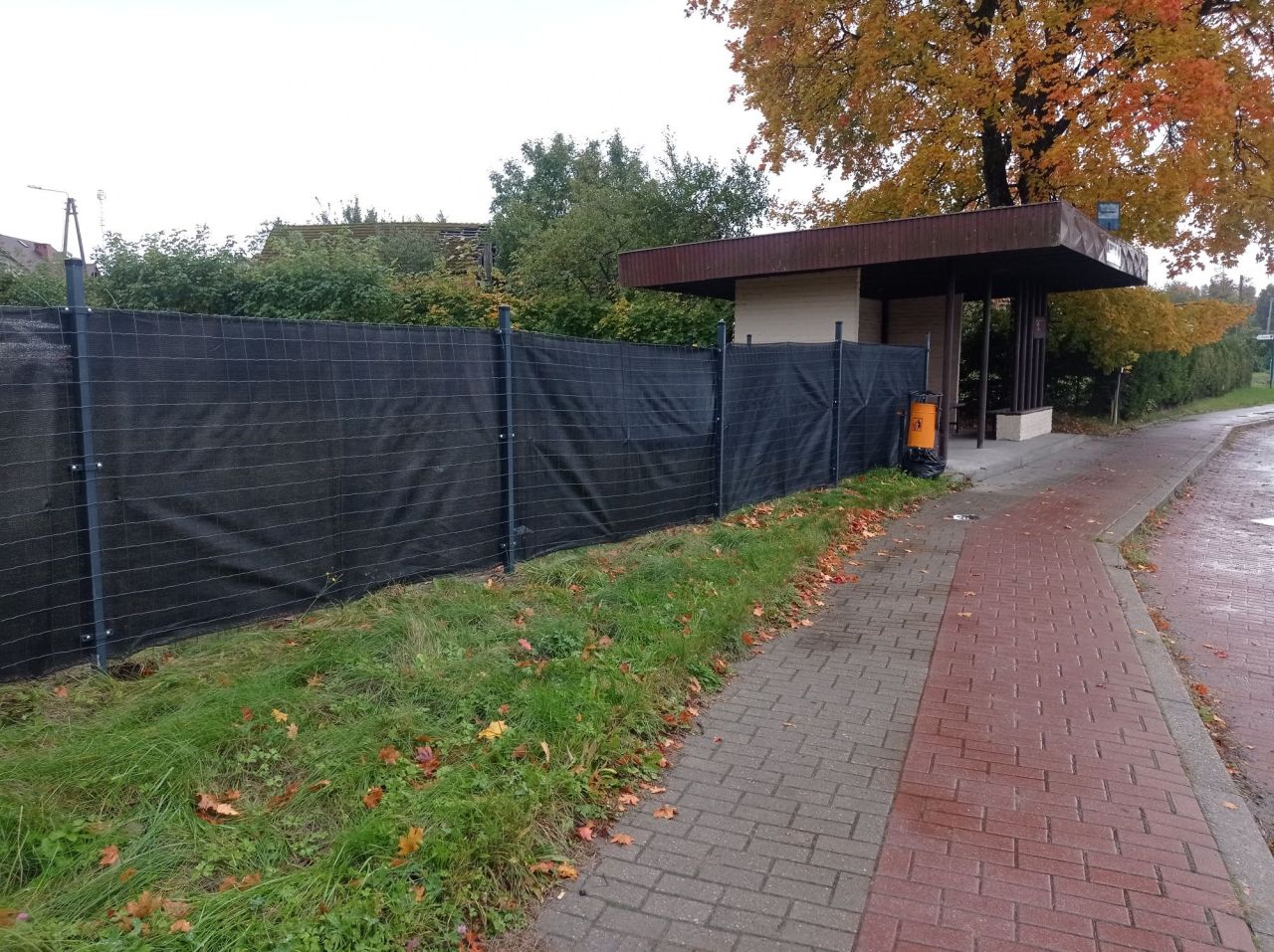 Działka rolno-budowlana Trzebielino. Zdjęcie 3