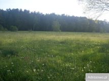 Działka rolna Raszków. Zdjęcie 2