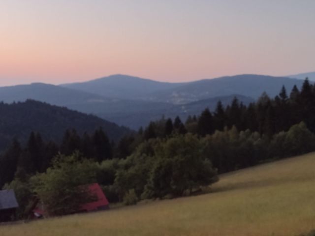 Działka leśna Pewel Wielka Olszówka. Zdjęcie 1