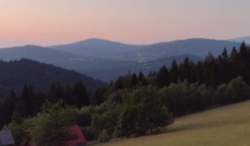 Działka leśna Pewel Wielka Olszówka