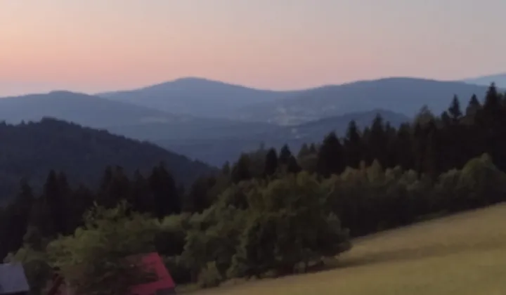 Działka leśna Pewel Wielka Olszówka