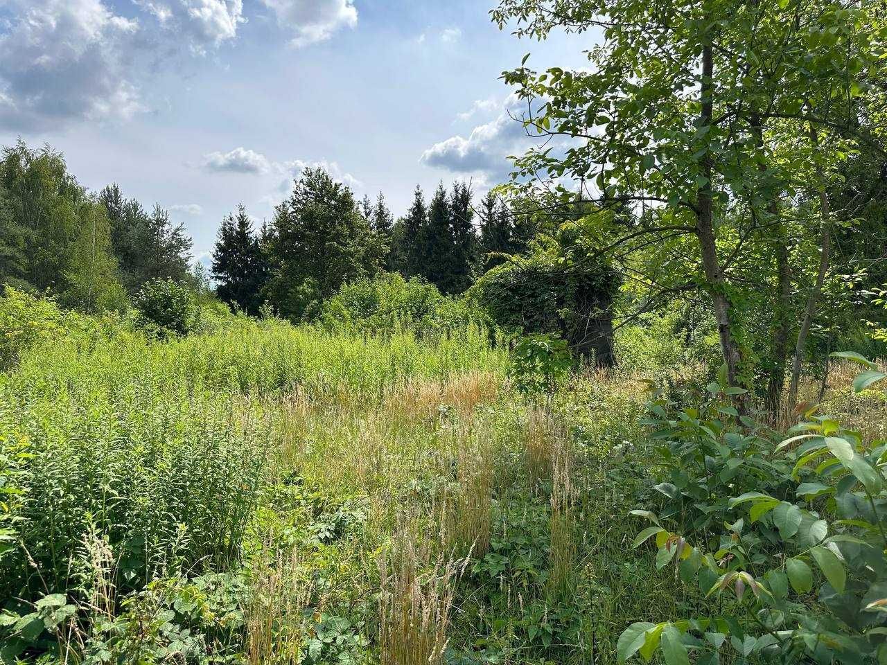 Działka budowlana Piotrków Trybunalski Wierzeje, ul. Wierzejska. Zdjęcie 4