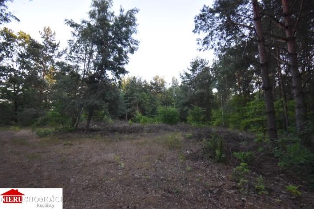 Działka rekreacyjna Wola Rasztowska. Zdjęcie 2
