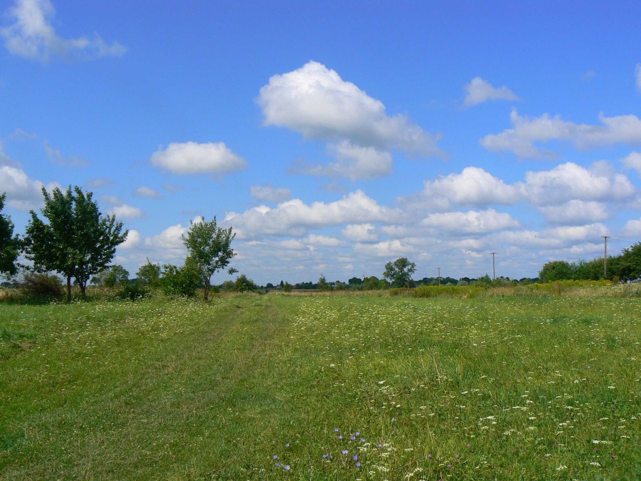 Działka budowlana Dorohusk, ul. Kościelna