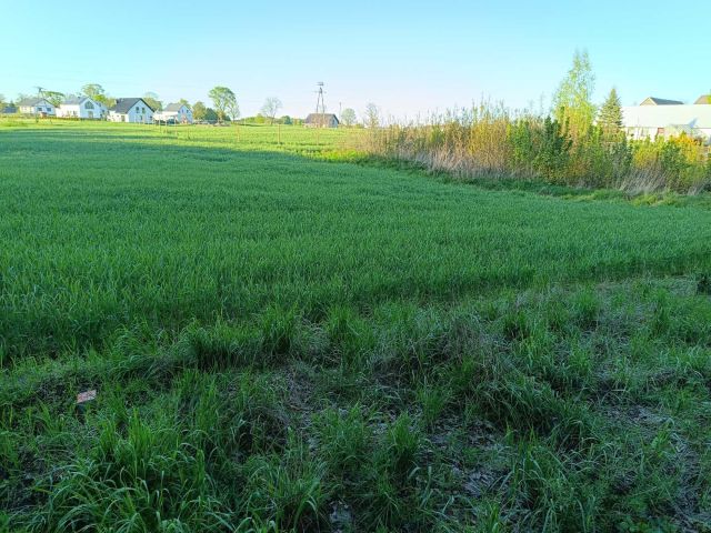 Działka budowlana Bolesławowo Nygut. Zdjęcie 1
