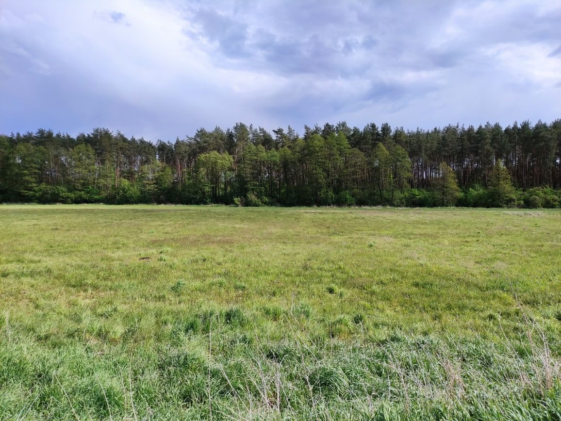 Działka rolna Kotły