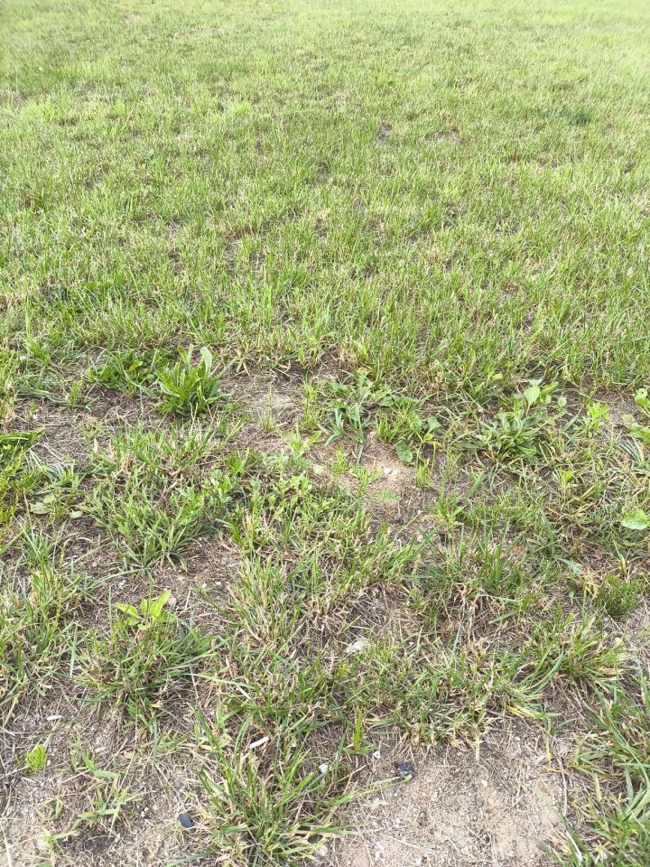 Działka rolna Myszyniec, ul. Poległych