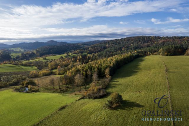 Działka inwestycyjna Kiełczawa. Zdjęcie 23