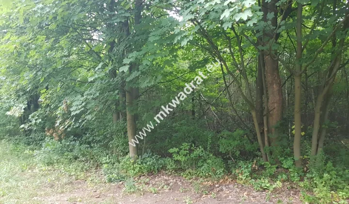 Działka rolna Grzegorzewice