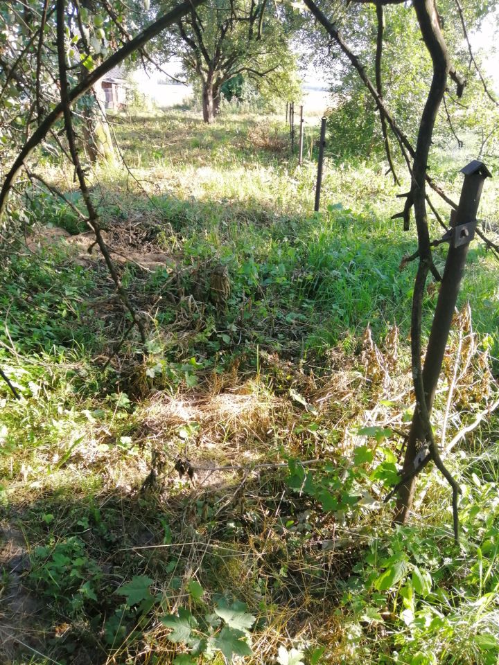 Działka rolno-budowlana Tczów. Zdjęcie 3