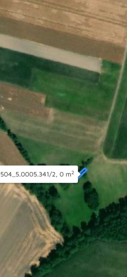 Działka rolna Rakoniewice. Zdjęcie 3