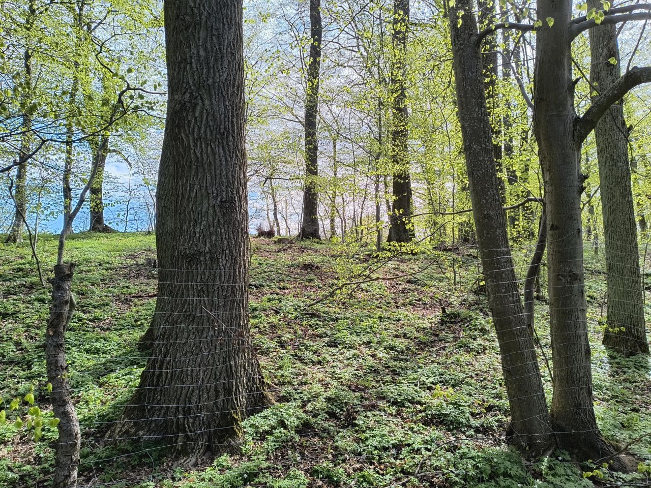 Działka rekreacyjna Sławutowo, ul. Szkolna. Zdjęcie 7