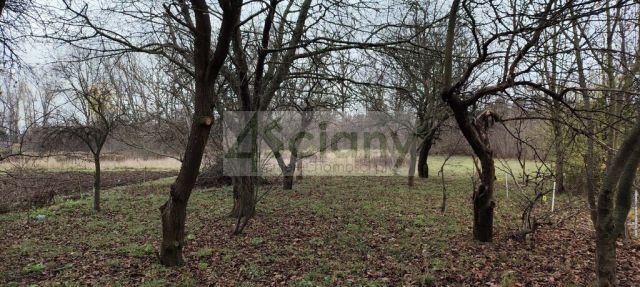 Działka budowlana Warszawa Białołęka, ul. Białołęcka. Zdjęcie 2