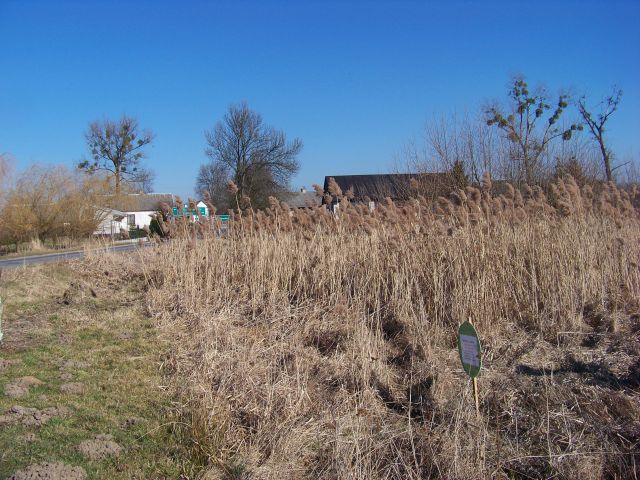 Działka rolna Grębenice. Zdjęcie 1
