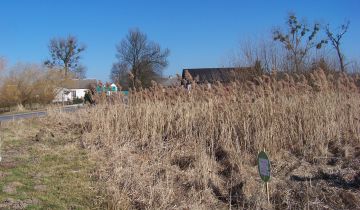 Działka rolna Grębenice