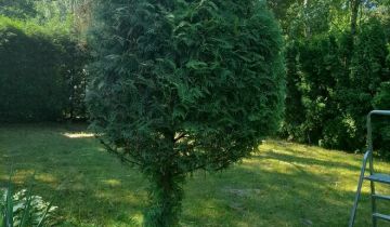 dom letniskowy, 2 pokoje Sumin