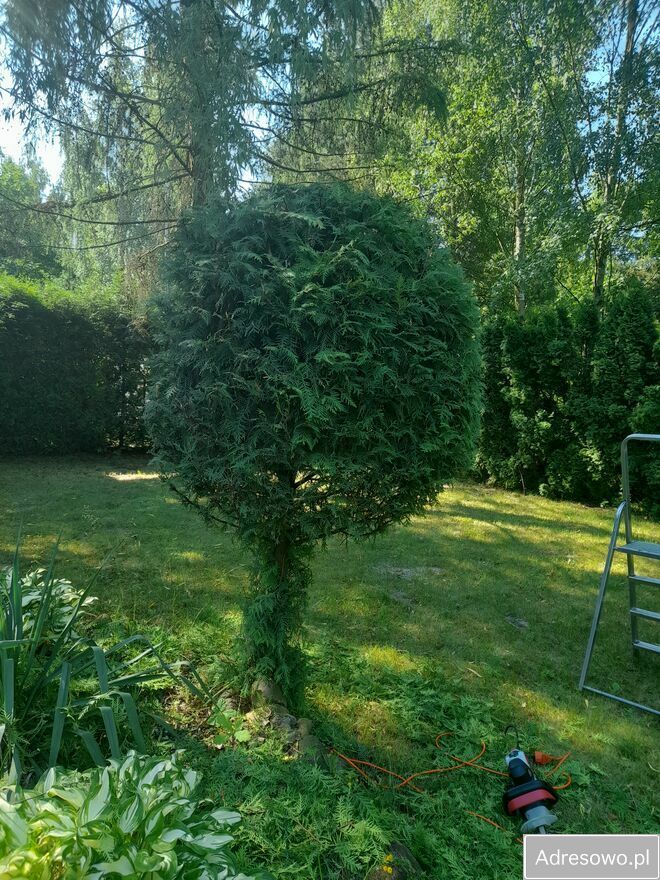 dom letniskowy, 2 pokoje Sumin. Zdjęcie 2