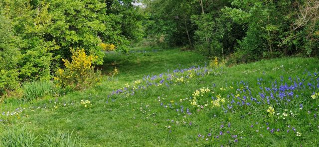 Działka budowlana Skawina, ul. Bukowska. Zdjęcie 5