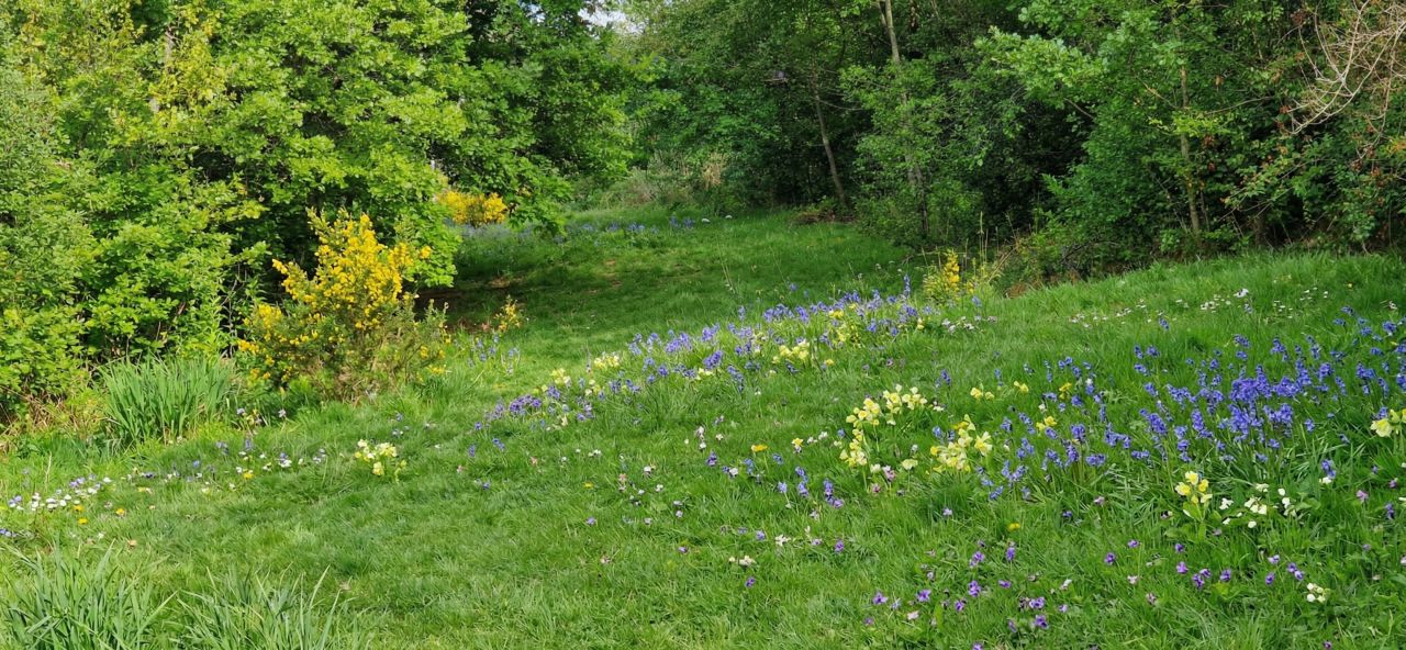 Działka budowlana Skawina, ul. Bukowska. Zdjęcie 5