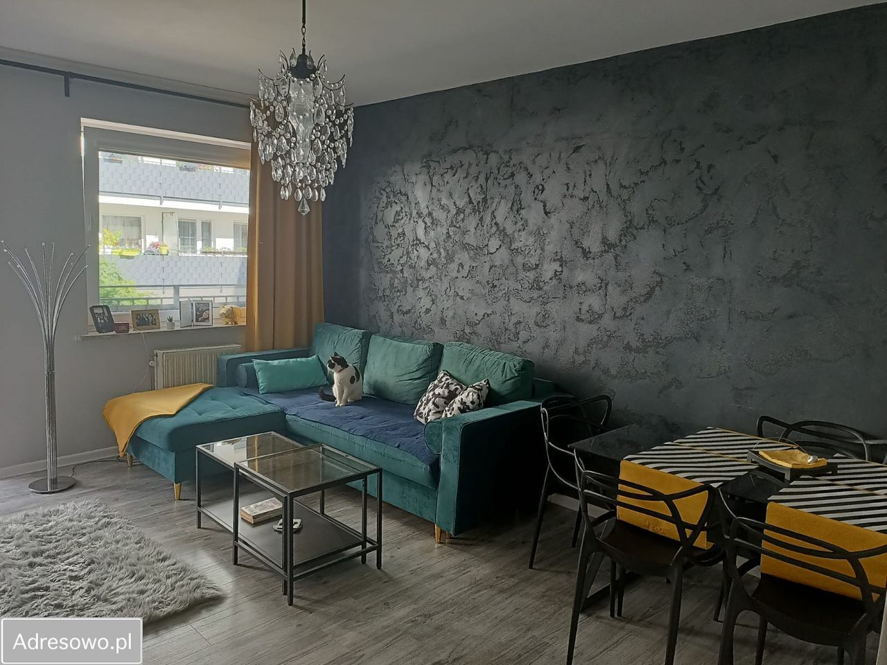 Mieszkanie 2-pokojowe Ząbki, ul. Zieleniecka. Zdjęcie 2