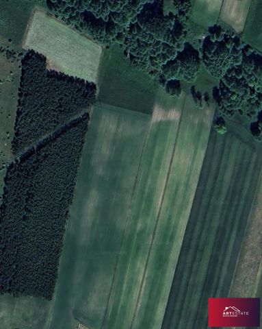 Działka budowlana Bełdów. Zdjęcie 4