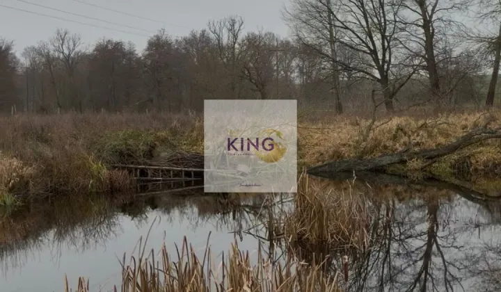 Działka rolna Dębogóra