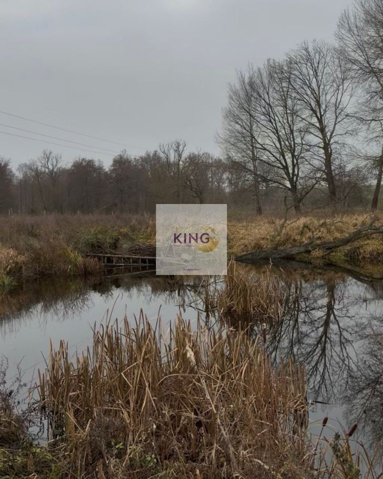 Działka rolna Dębogóra. Zdjęcie 1