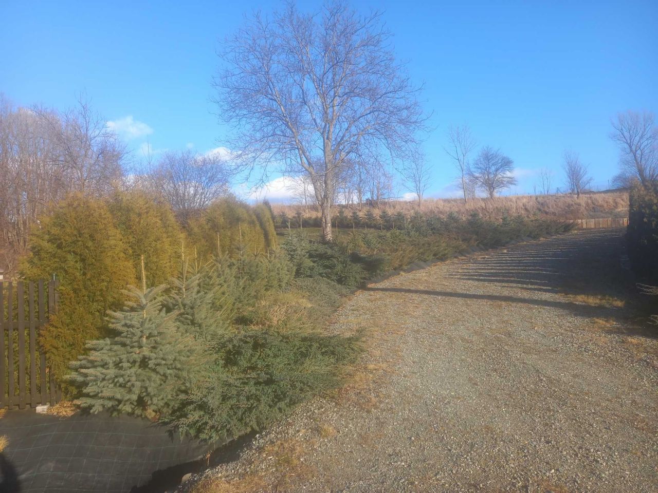 Działka budowlana Wojbórz. Zdjęcie 8