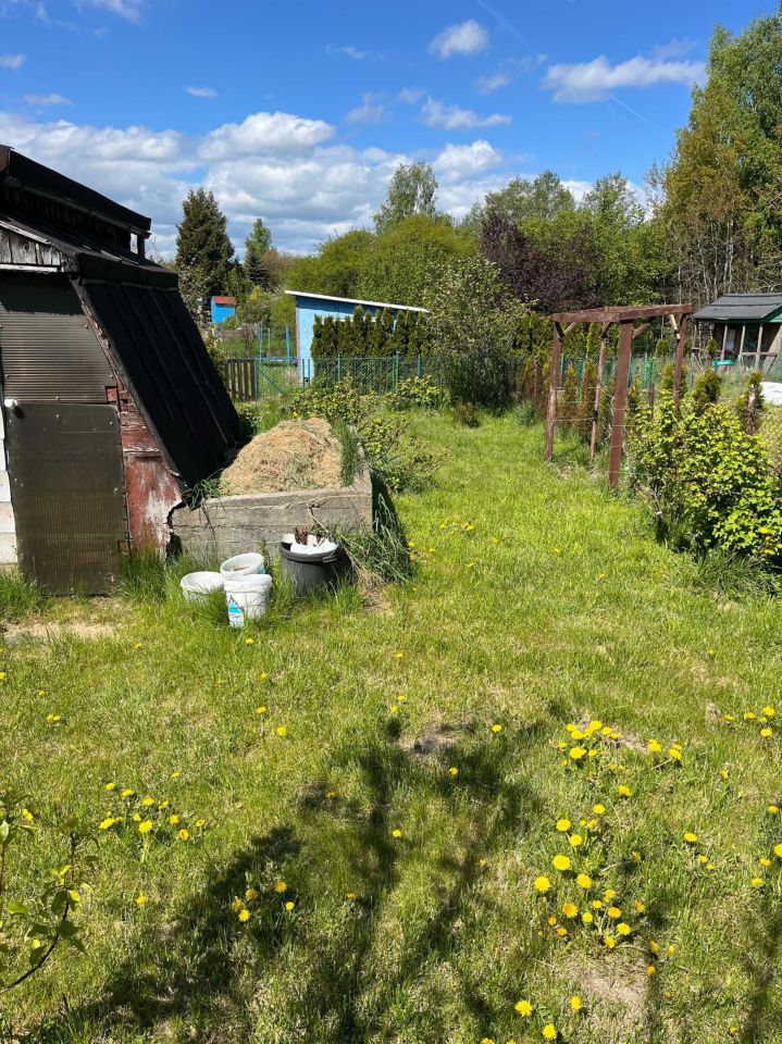 Działka rod Gdańsk Rębiechowo, ul. Nowatorów. Zdjęcie 4