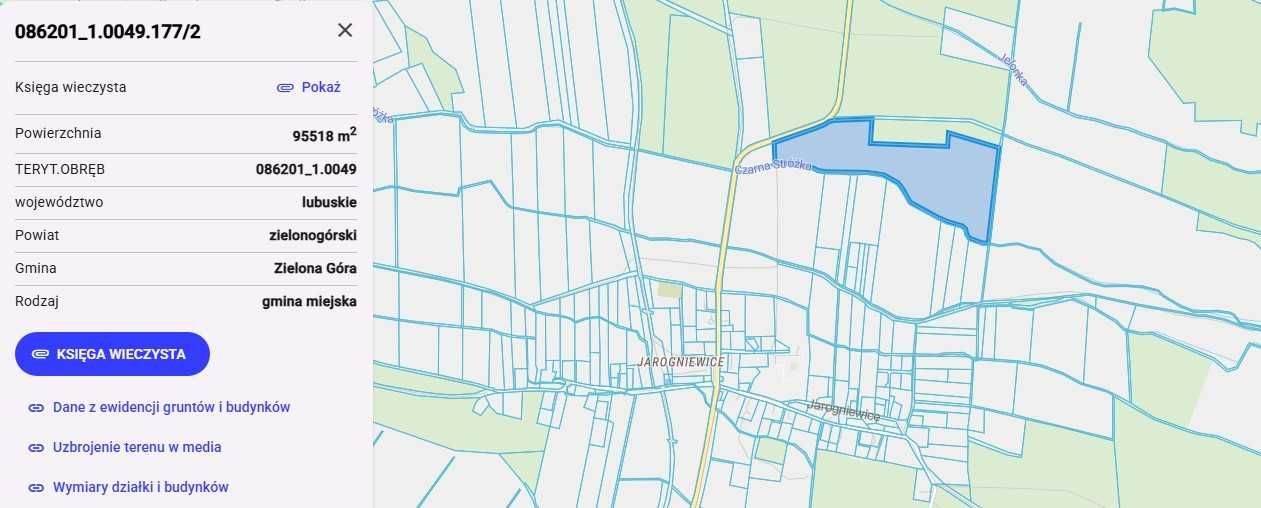 Działka leśna Zielona Góra Jarogniewice. Zdjęcie 3