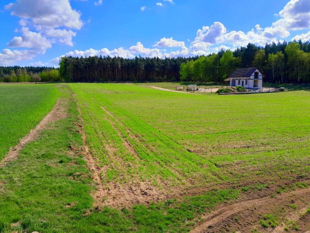 Działka budowlana Annowo. Zdjęcie 1