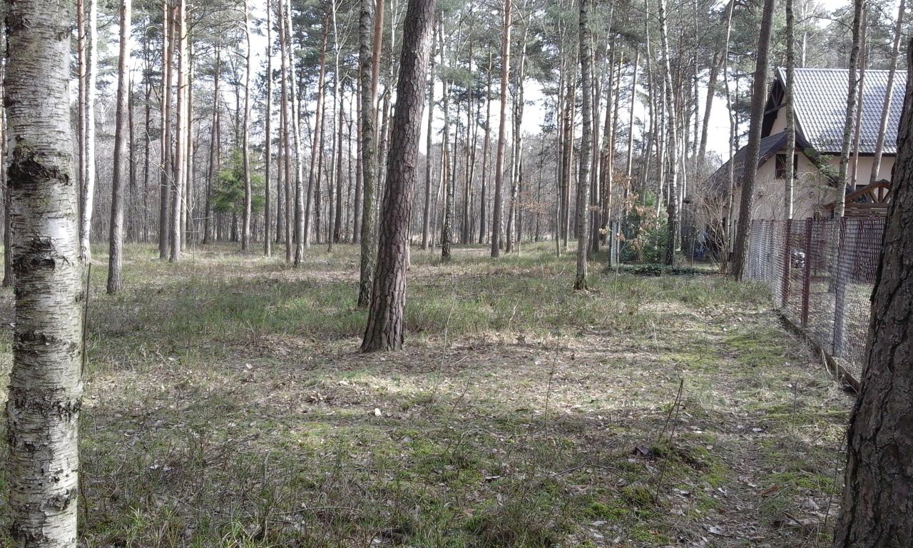 Działka budowlana Żarki-Letnisko, ul. Okrężna. Zdjęcie 7