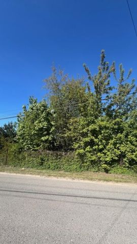 Działka budowlana Jachranka, ul. Wspólna. Zdjęcie 1