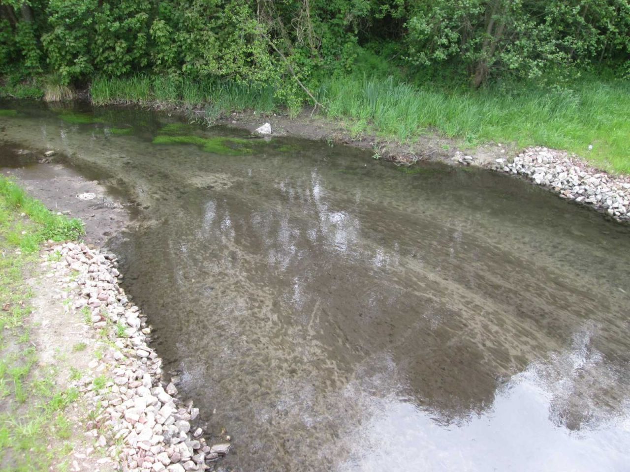 Działka rolna Krępa Górna. Zdjęcie 7