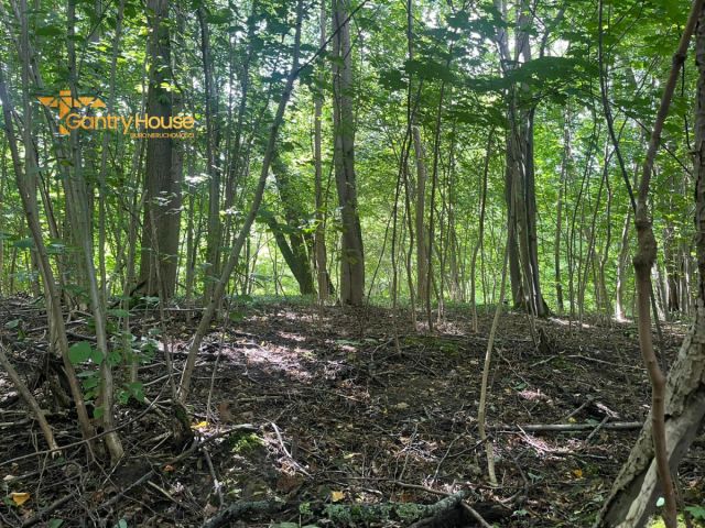 Działka siedliskowa Zastawno. Zdjęcie 10