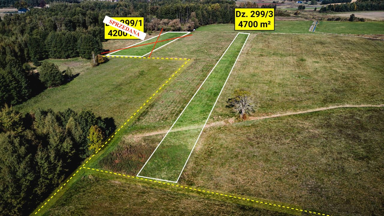 Działka rolna Żebrak. Zdjęcie 1
