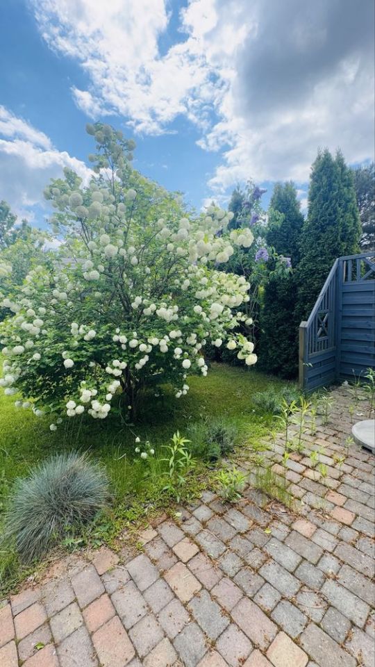 Działka rod Tarnowskie Góry Centrum. Zdjęcie 6