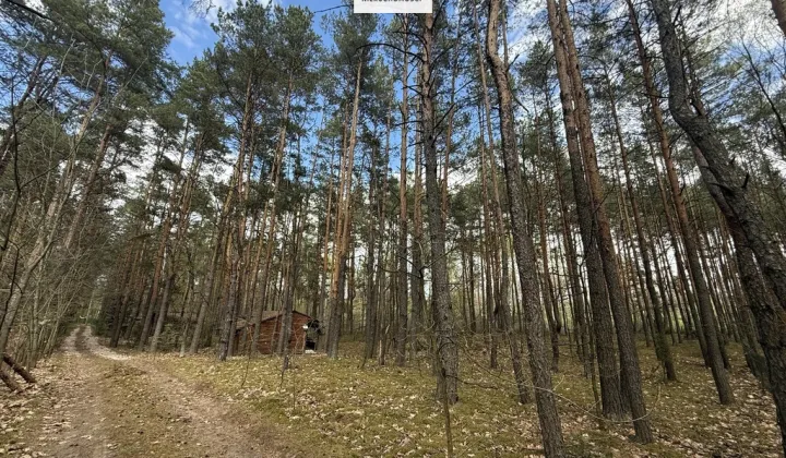 Działka rekreacyjna Kolonie Stanisławów