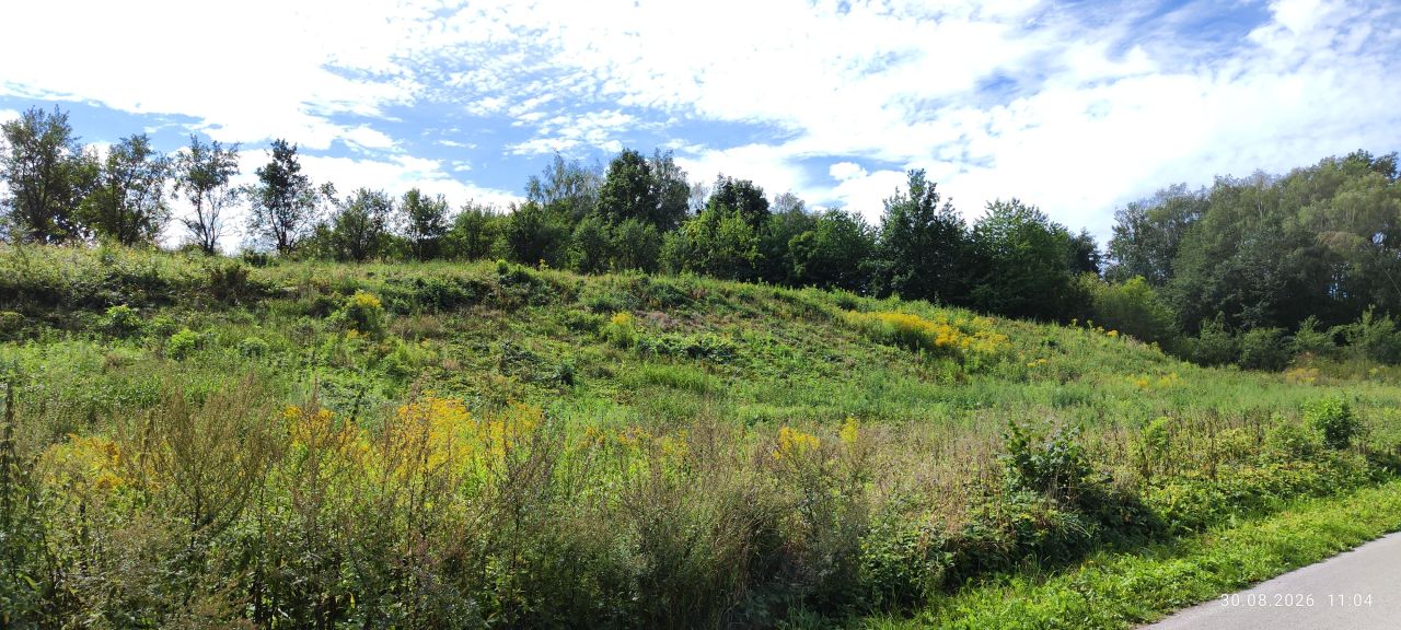 Działka rolna Strzałków, Strzalków. Zdjęcie 2