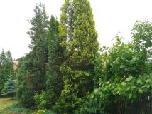 dom szeregowy Kraków Łagiewniki. Zdjęcie 2