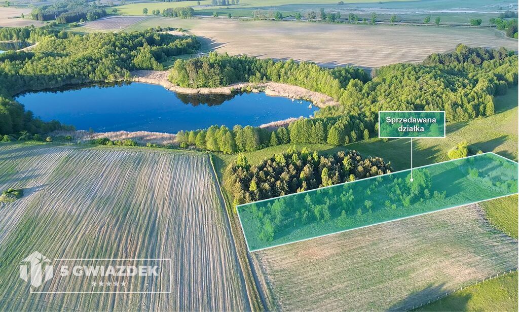 Działka budowlana Dziki. Zdjęcie 6