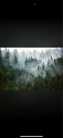 Działka leśna Więckowo. Zdjęcie 1