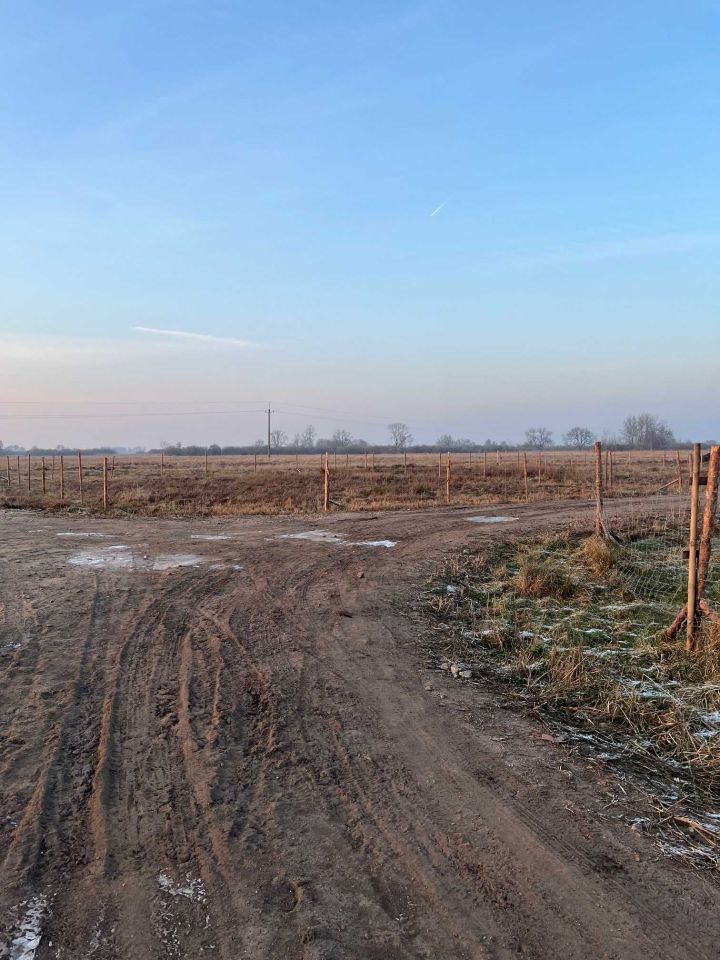 Działka rolno-budowlana Pucie. Zdjęcie 3