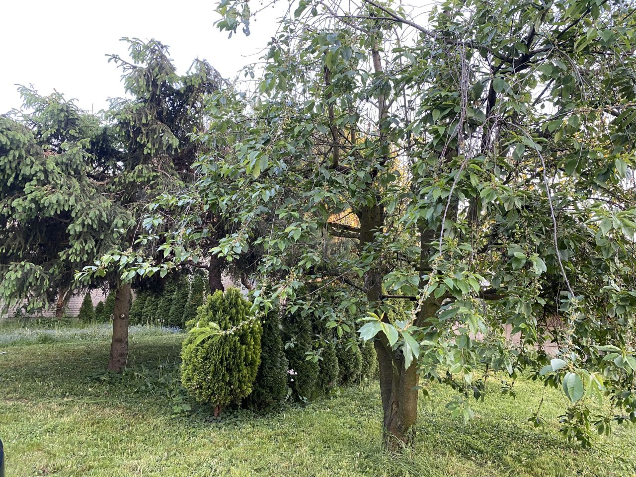 Działka budowlana Piątek, ul. Kutnowska. Zdjęcie 7