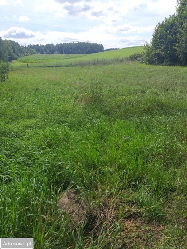 bliźniak, 3 pokoje Stare Bolity. Zdjęcie 8