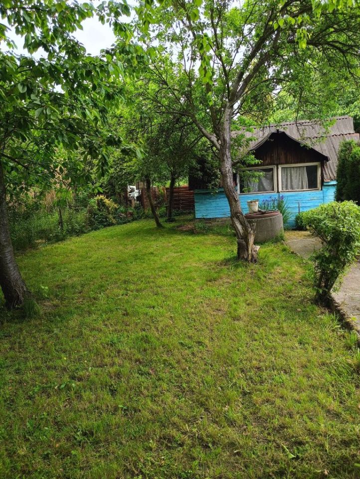 Działka rod Gliwice Sośnica, ul. Panewnicka. Zdjęcie 5