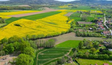 Działka siedliskowa Wiry
