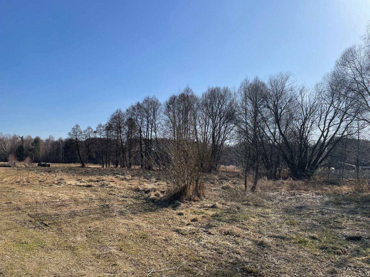 Działka budowlana Sośnie, ul. Łąkowa. Zdjęcie 8