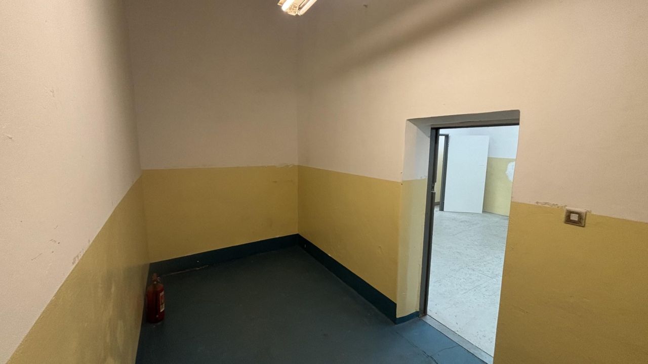 Zdjęcie 8
